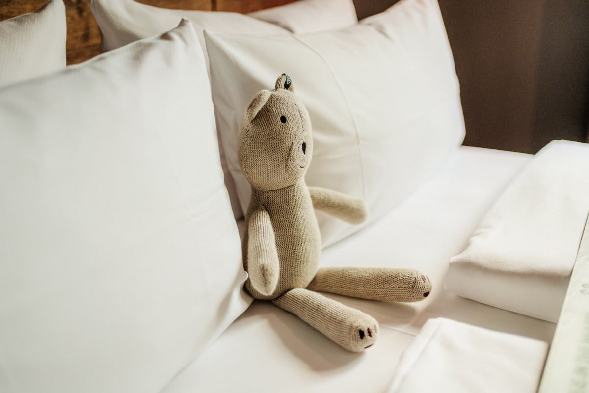 Walden Teddy_NSL_33331rz